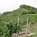 13.9.2015 Ebern - Handthal