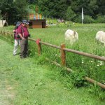 5.6.2016 Fahrt zur Landesgartenschau Bayreuth