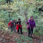 23.10.2016 Ü-Wanderung