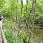 21.05.2017 - Weißenohe - Wölfersdorf