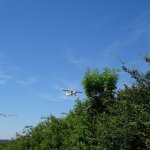 11.06.2017 - Regensberg