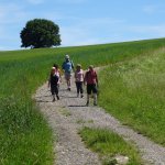 11.06.2017 - Regensberg