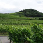 01.07.2017 - Weinberge