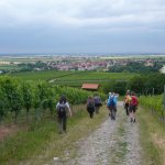 01.07.2017 - Weinberge