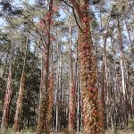 29.09.2013 Wanderung im Aischgrund
