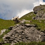 21.08.2010 Bergtour für Geübte in den Lechtaler Alpen