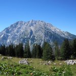bild_07
