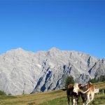 bild_09