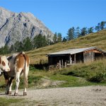bild_10