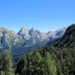 bild_15
