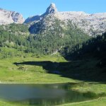 bild_20