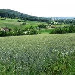  17.06.2012 Wanderung vom Ellertal zur Giechburg