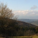 leutenbach08