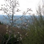 17.04.2011 Wanderung rund um Waischenfeld