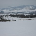 22.02.2009 Wanderung zum Streitbaum